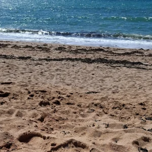 photo of waves on a beach