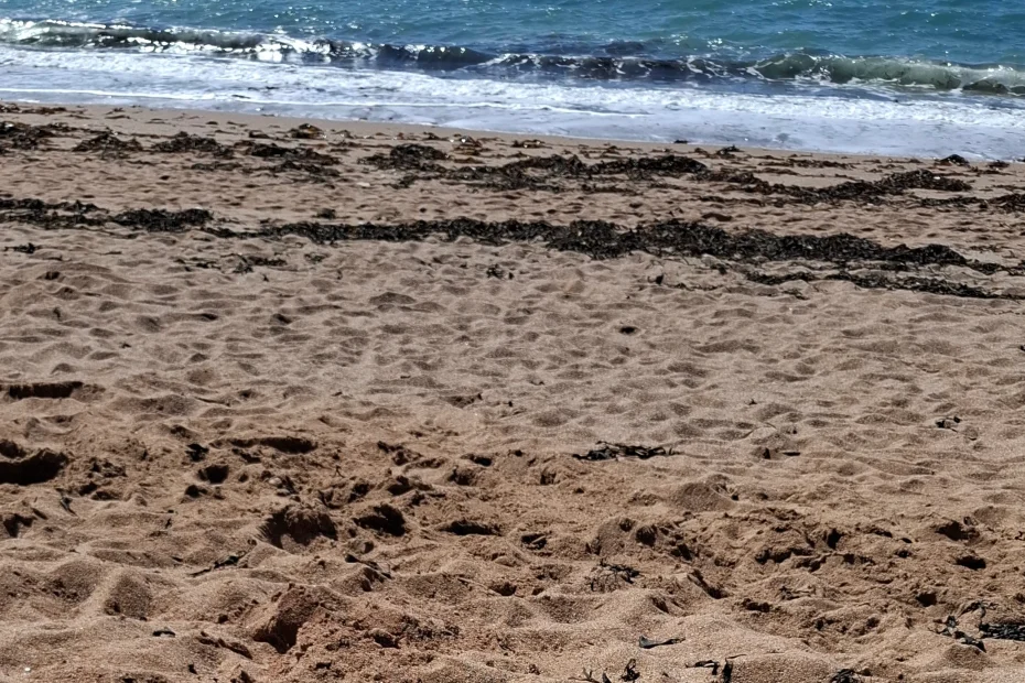 photo of waves on a beach